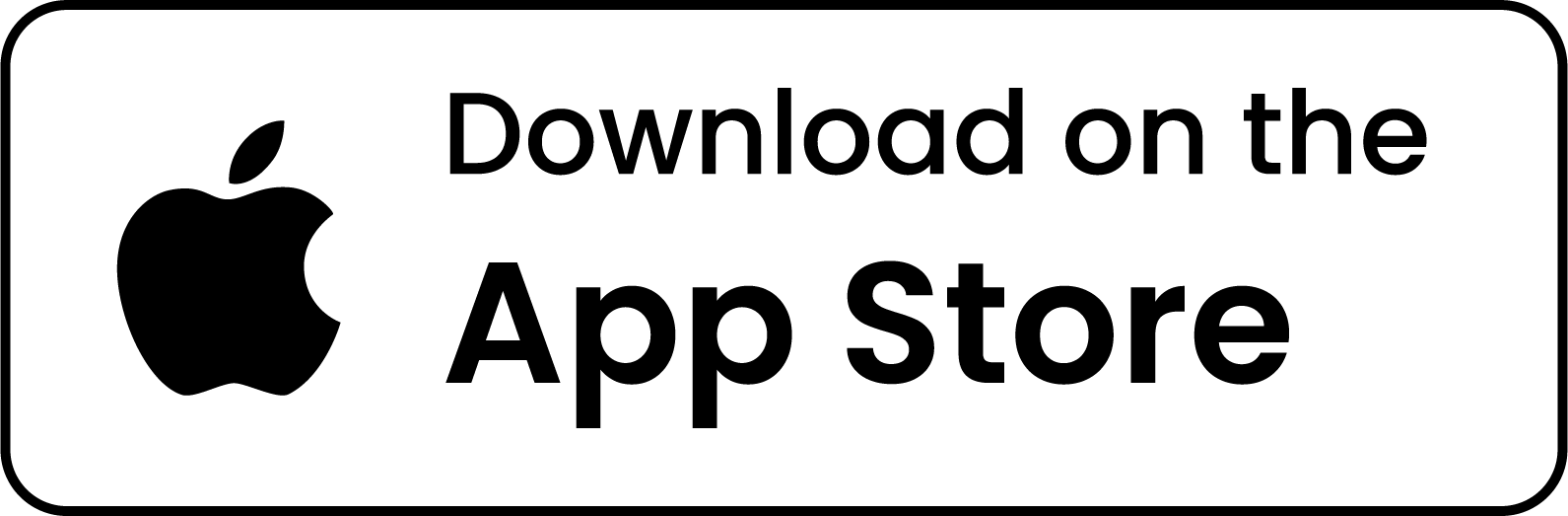 Asset 5